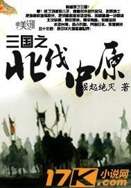 三国之北伐中原